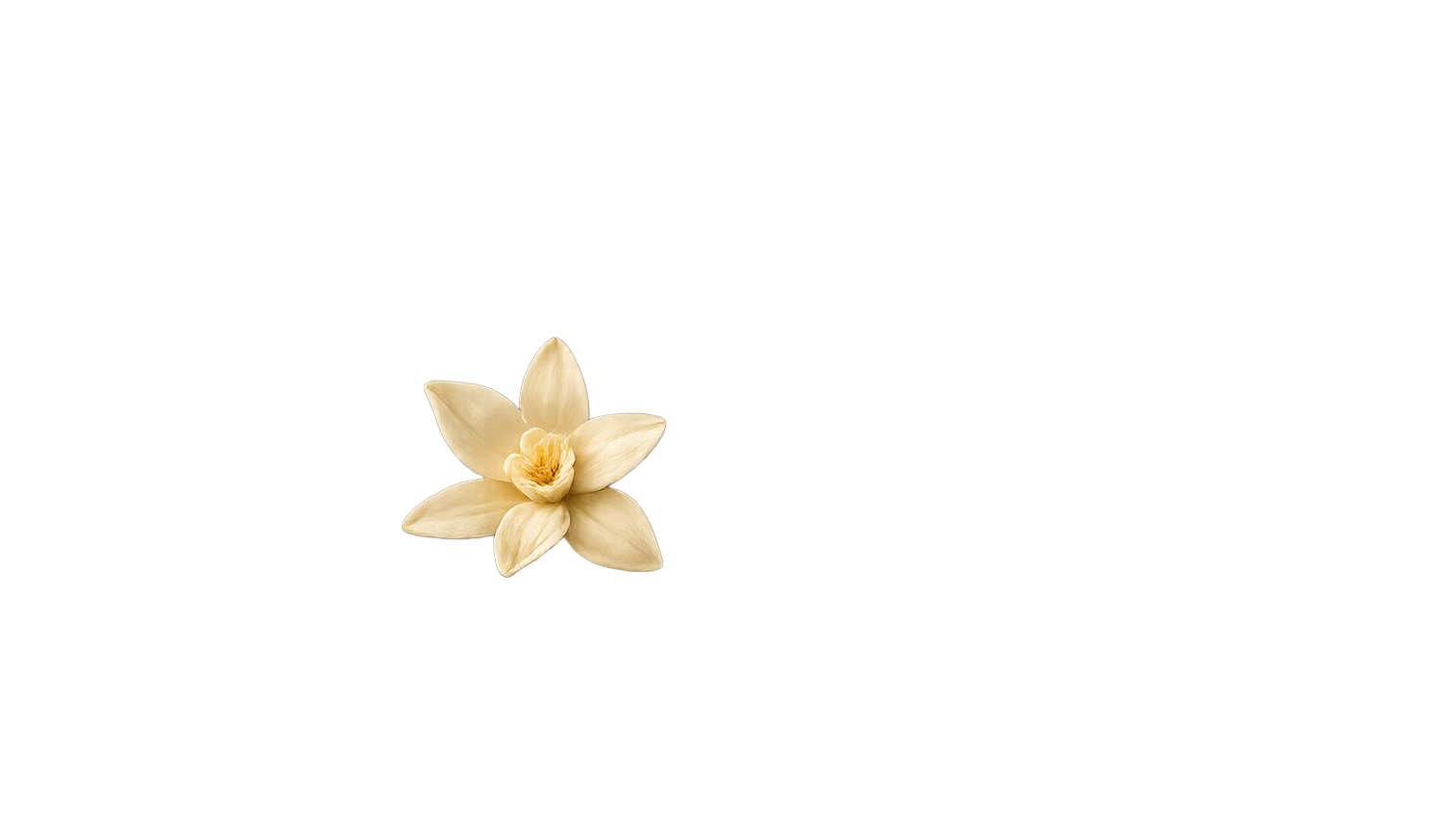 Candy Vanilla – vonná ingrediencia